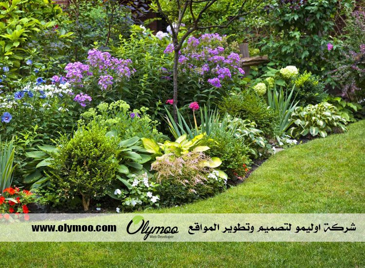 تركيب عشب صناعي بالرياض 3 تركيب عشب صناعي بالرياض