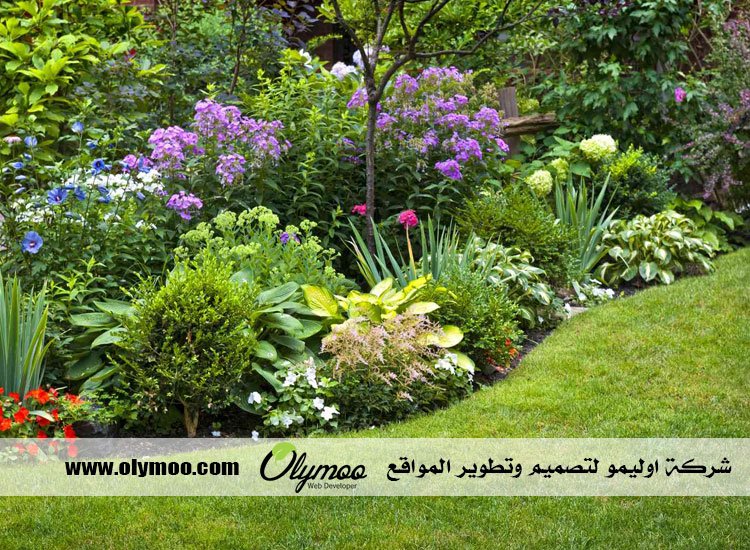 تنسيق حدائق بالرياض 3 تنسيق حدائق بالرياض