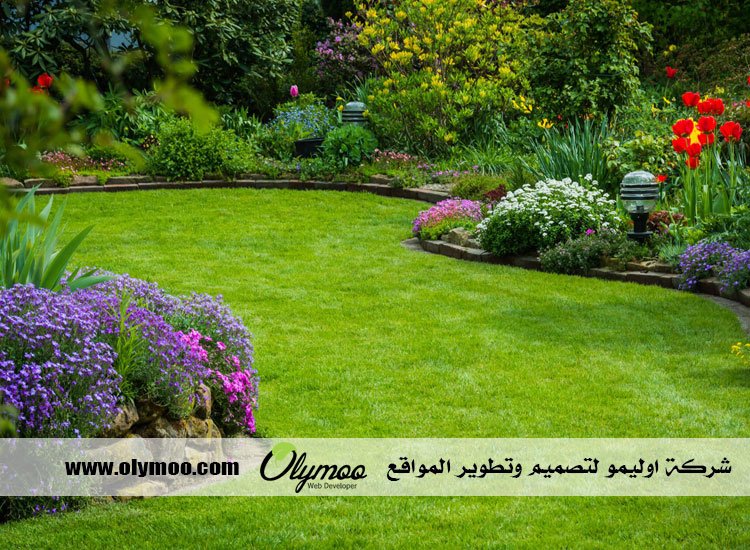 شركة تنسيق حدائق بالرياض 4 شركة تنسيق حدائق بالرياض