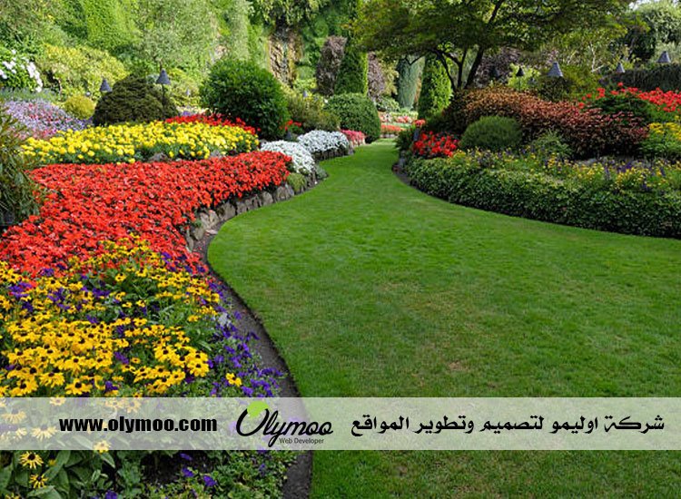 شركة تنسيق حدائق بالرياض 2 شركة تنسيق حدائق بالرياض