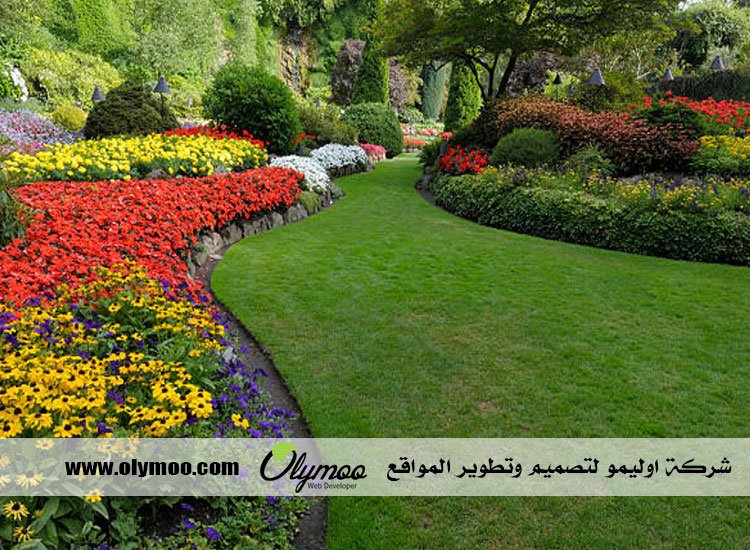 شركة تنسيق حدائق بالرياض