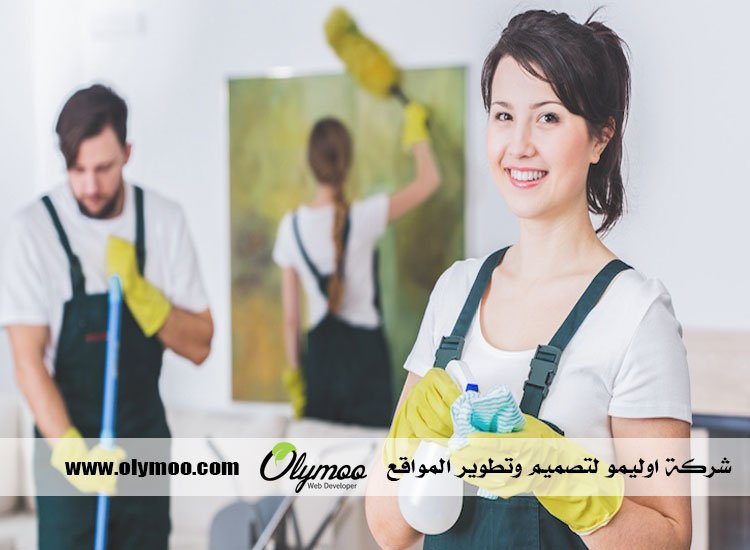 شركة تنظيف في رأس الخيمة
