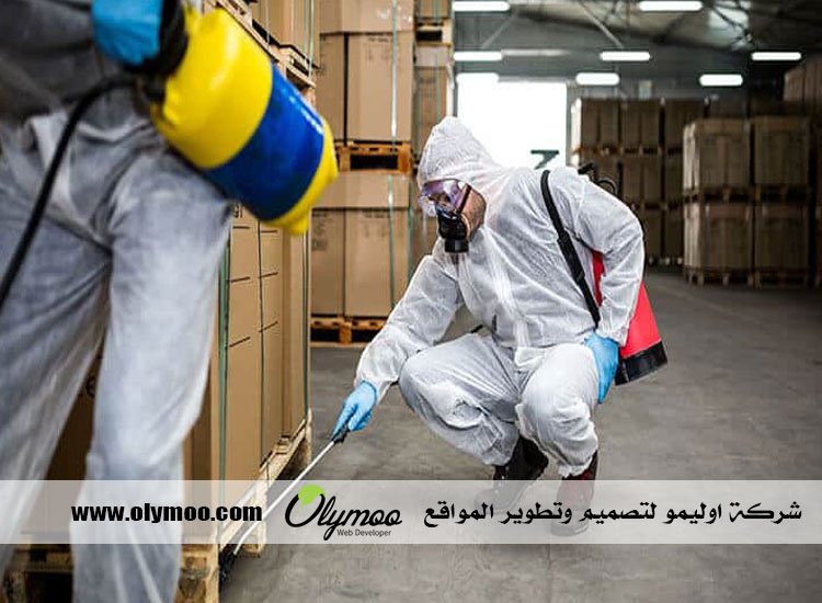 شركة مكافحة الصراصير في دبي 3 شركة مكافحة الصراصير في دبي