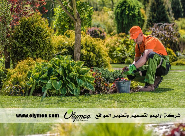 تركيب عشب صناعي بالرياض