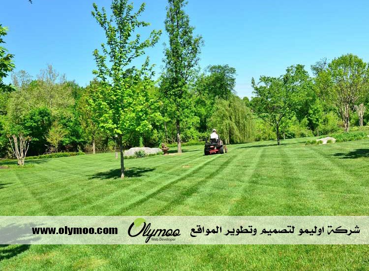 تركيب عشب صناعي بالرياض