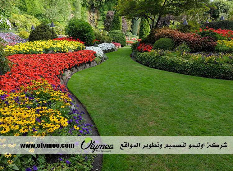 تركيب عشب صناعي بالرياض