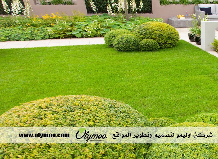 تنسيق حدائق 3 تنسيق حدائق